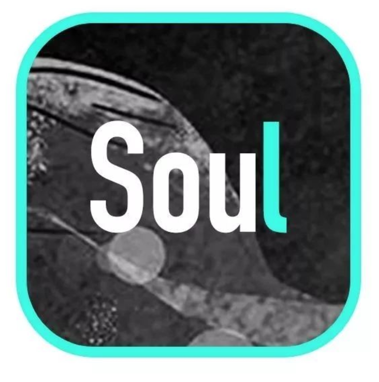 soul会员